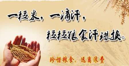 節(jié)約糧食反對浪費(fèi)名言句子