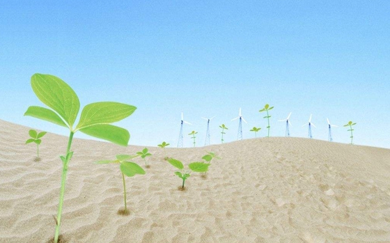 為什么沙漠中的植物根很長(zhǎng)