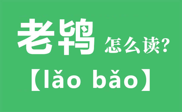 老鴇怎么讀,老鴇的拼音,老鴇是什么意思