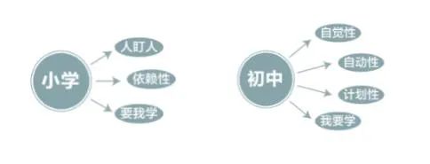 新初一暑假學(xué)習(xí)計(jì)劃表,新初一暑假應(yīng)該怎么安排
