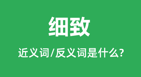 細(xì)致的近義詞和反義詞是什么,細(xì)致是什么意思