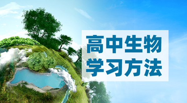 高中生物學(xué)習(xí)方法,如何學(xué)好高中生物的方法和技巧