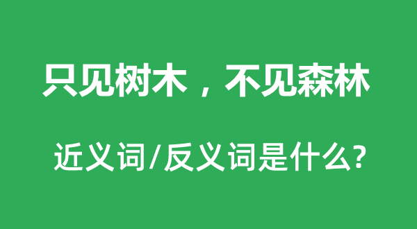 只見樹木，不見森林的近義詞和反義詞是什么,只見樹木，不見森林是什么意思
