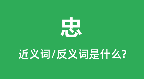 忠的近義詞和反義詞是什么,忠是什么意思