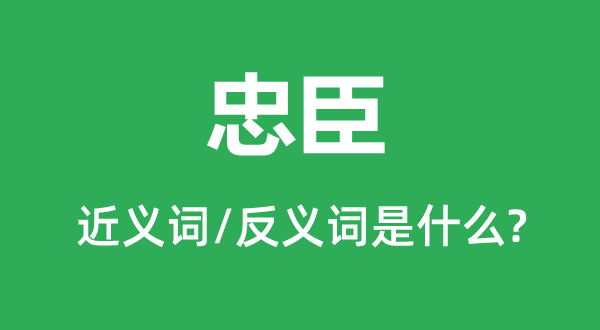 忠臣的近義詞和反義詞是什么,忠臣是什么意思
