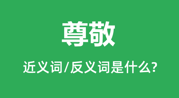 尊敬的近義詞和反義詞是什么,尊敬是什么意思