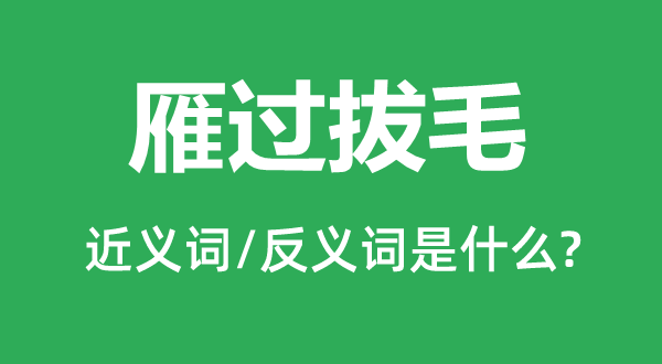 雁過拔毛的近義詞和反義詞是什么,雁過拔毛是什么意思