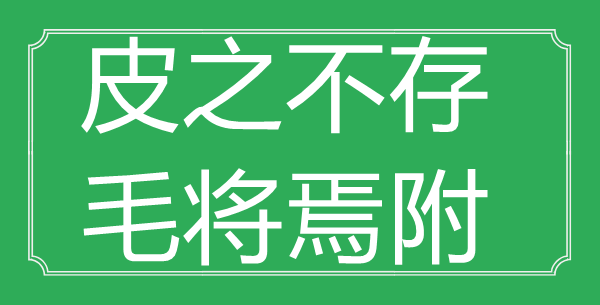 “皮之不存，毛將焉附”的意思出處及全文賞析