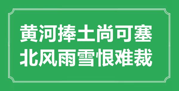 “黃河捧土尚可塞，北風(fēng)雨雪恨難裁”的意思出處及全詩(shī)賞析