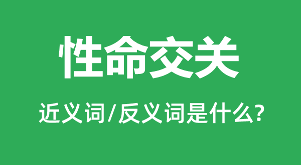 性命交關的近義詞和反義詞是什么,性命交關是什么意思