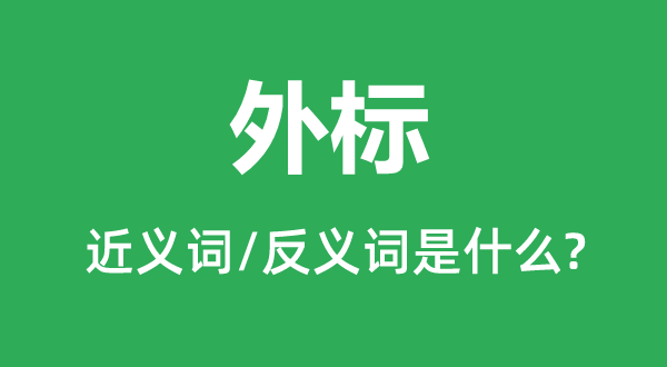 外標的近義詞和反義詞是什么,外標是什么意思
