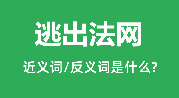 逃出法網的近義詞和反義詞是什么,逃出法網是什么意思