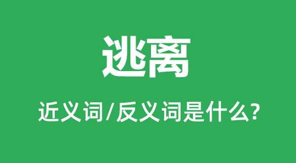 逃離的近義詞和反義詞是什么,逃離是什么意思