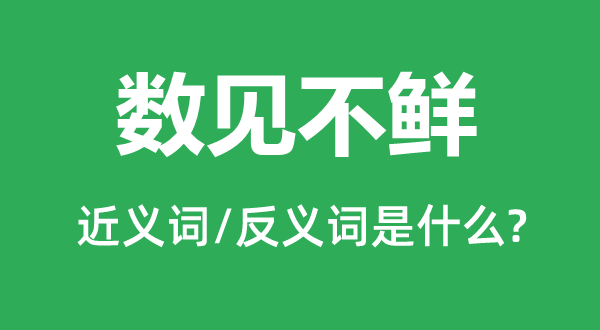 數見不鮮的近義詞和反義詞是什么,數見不鮮是什么意思