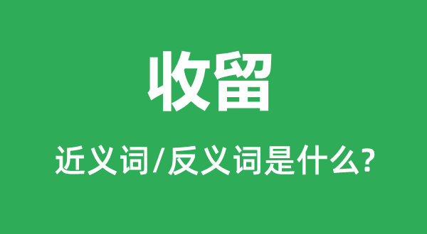 收留的近義詞和反義詞是什么,收留是什么意思