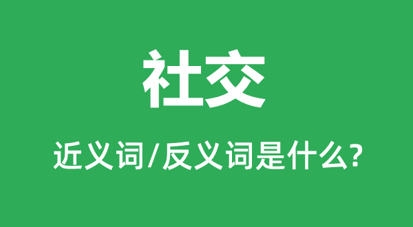 社交的近義詞和反義詞是什么,社交是什么意思