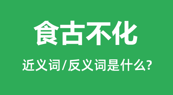 食古不化的近義詞和反義詞是什么,食古不化是什么意思