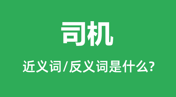 司機的近義詞和反義詞是什么,司機是什么意思