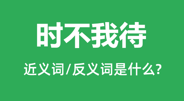 時不我待的近義詞和反義詞是什么,時不我待是什么意思