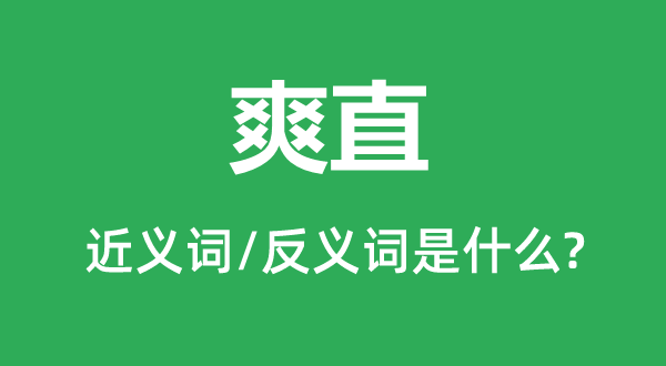 爽直的近義詞和反義詞是什么,爽直是什么意思