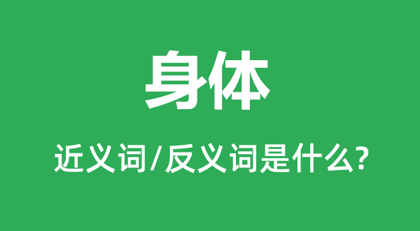 身體的近義詞和反義詞是什么,身體是什么意思