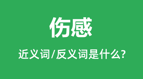 傷感的近義詞和反義詞是什么,傷感是什么意思