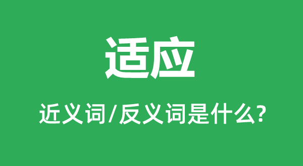 適應的近義詞和反義詞是什么,適應是什么意思