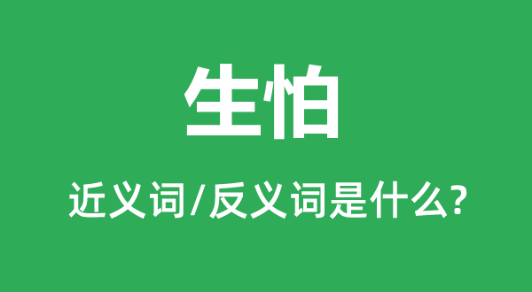 生怕的近義詞和反義詞是什么,生怕是什么意思