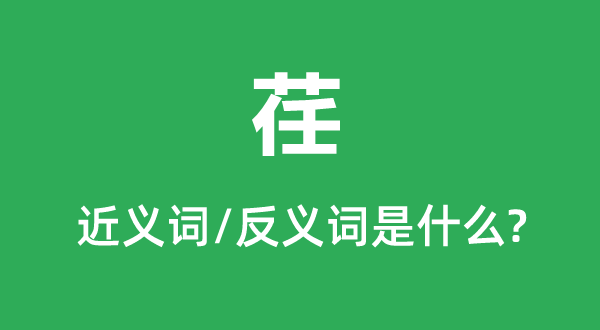 荏的近義詞和反義詞是什么,荏是什么意思