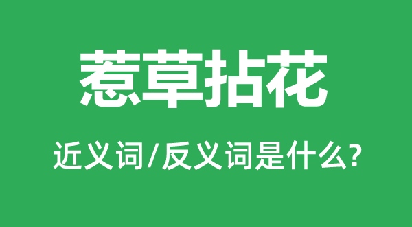 惹草拈花的近義詞和反義詞是什么,惹草拈花是什么意思