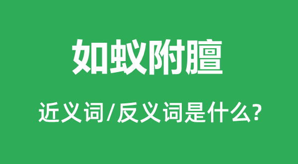 如蟻附膻的近義詞和反義詞是什么,如蟻附膻是什么意思
