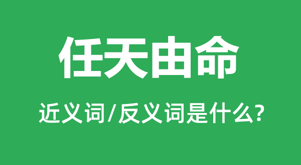 任天由命的近義詞和反義詞是什么,任天由命是什么意思