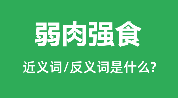 弱肉強食的近義詞和反義詞是什么,弱肉強食是什么意思