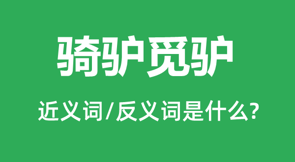 騎驢覓驢的近義詞和反義詞是什么,騎驢覓驢是什么意思