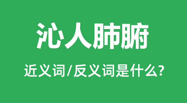 沁人肺腑的近義詞和反義詞是什么,沁人肺腑是什么意思