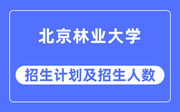 2023年北京林業大學各省招生計劃及各專業招生人數是多少