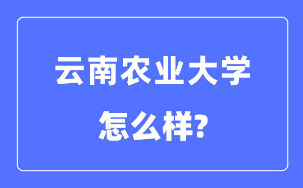 云南農業大學是幾本一本還是二本,云南農業大學怎么樣？