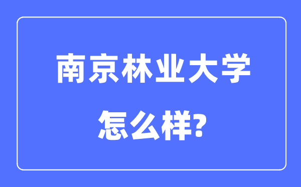 南京林業(yè)大學(xué)是985還是211,南京林業(yè)大學(xué)怎么樣？