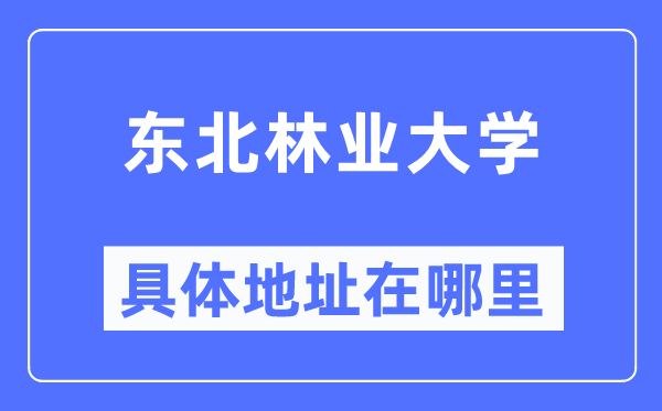 東北林業大學具體地址在哪里,在哪個城市，哪個區？