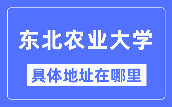 東北農業大學具體地址在哪里,在哪個城市，哪個區？