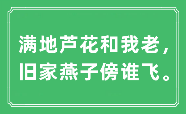 “滿地蘆花和我老，舊家燕子傍誰飛”是什么意思,出處及原文翻譯