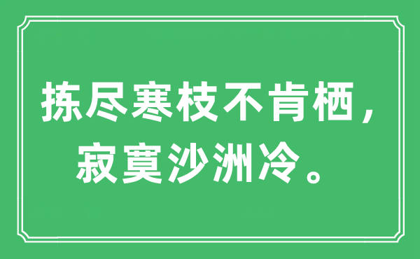 “揀盡寒枝不肯棲，寂寞沙洲冷”是什么意思,出處及原文翻譯