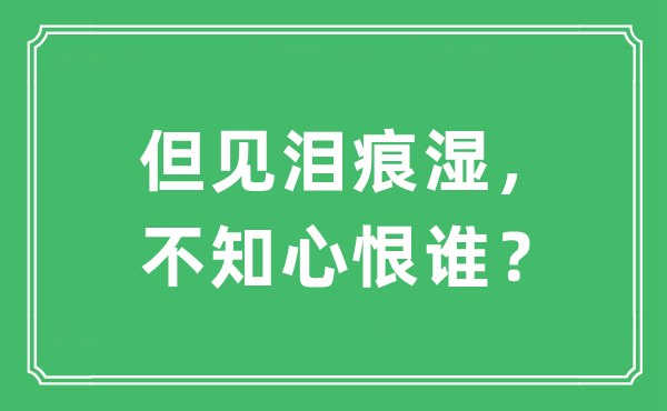 “但見淚痕濕，不知心恨誰？”是什么意思,出處及原文翻譯