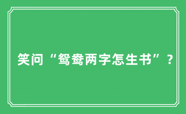 “笑問“鴛鴦兩字怎生書”？”是什么意思,出處及原文翻譯