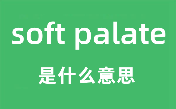 soft palate是什么意思,中文翻譯是什么