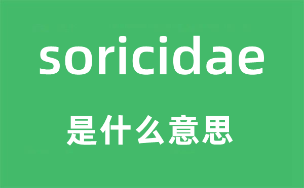 soricidae是什么意思,soricidae怎么讀,中文翻譯是什么