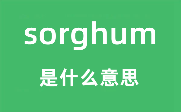sorghum是什么意思,sorghum怎么讀,中文翻譯是什么
