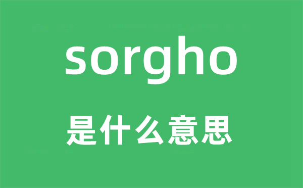 sorgho是什么意思,sorgho怎么讀,中文翻譯是什么