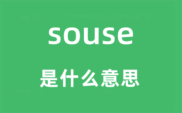souse是什么意思,souse怎么讀,中文翻譯是什么