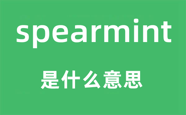 spearmint是什么意思,spearmint怎么讀,中文翻譯是什么